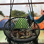 Greenhaze Living