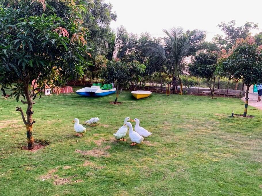 Patny Farms Holiday home
