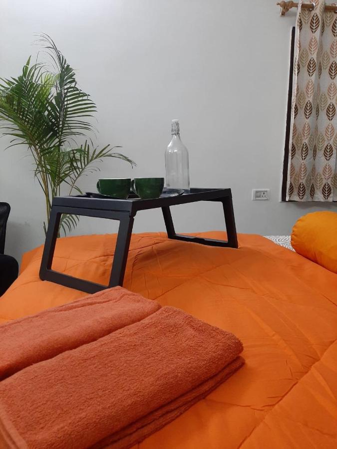 Hostel Kygo *