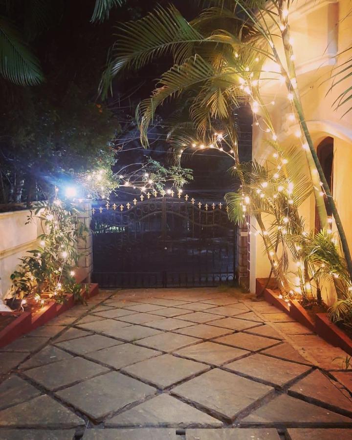 Hostel Kygo *