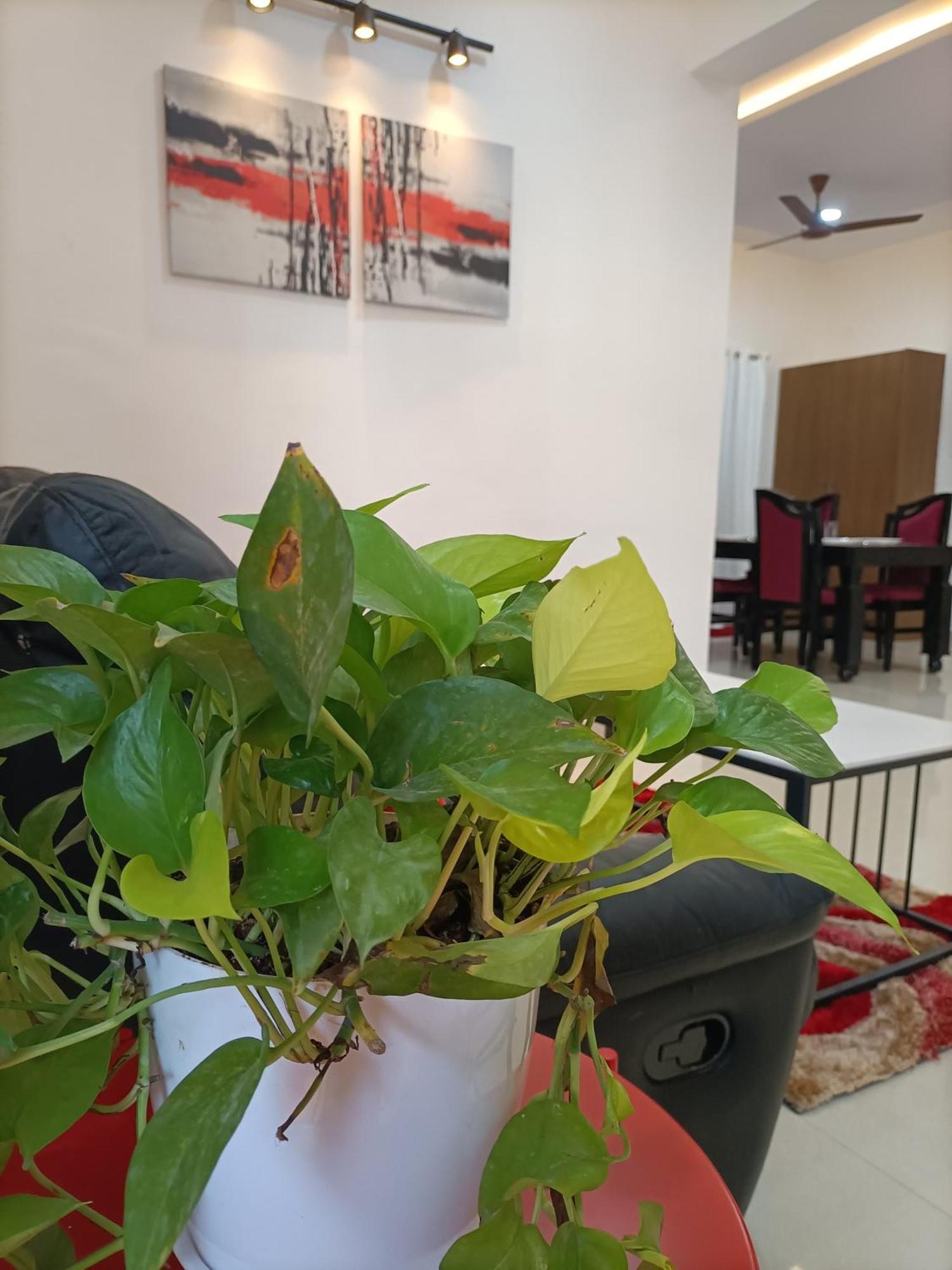 Casa Verde-ii - 2bhk,gachibowli Apartment *