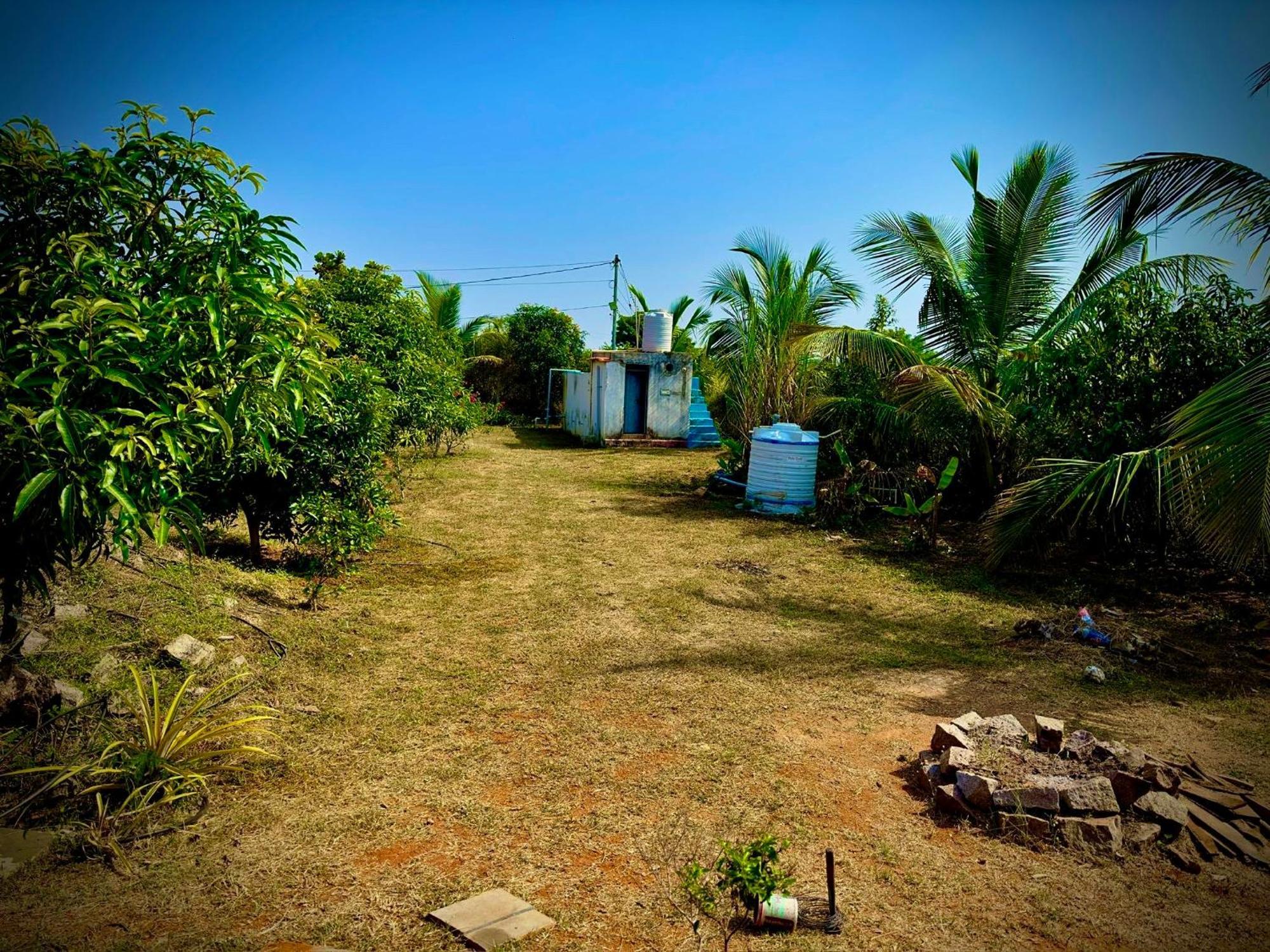 Holiday home Mangohut Pool