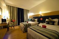 Oyo Premium Banjara Hills Road No1