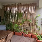 Terrace Garden
