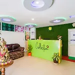 Collection O Green Majestic