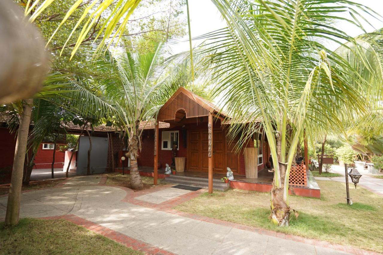 Brown Town & Resort