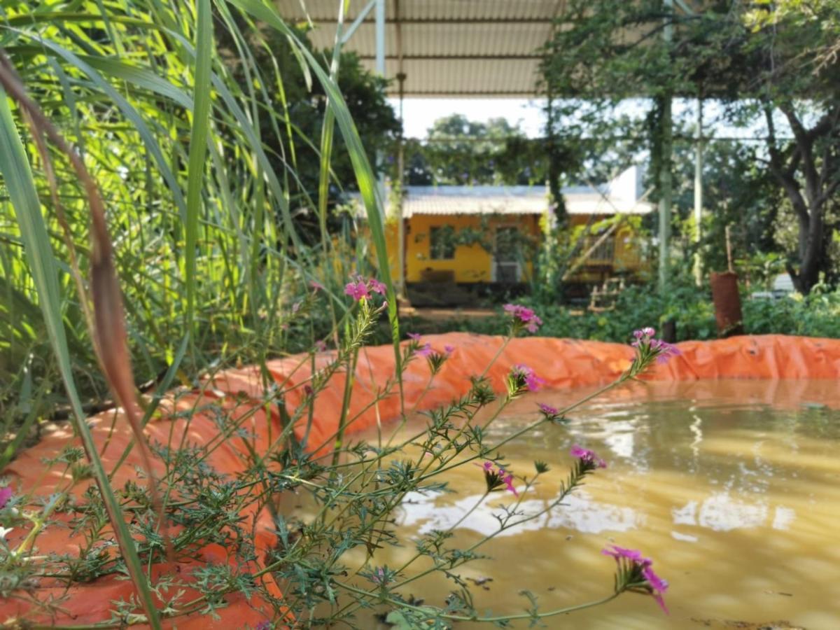 Hornbill Farm Resort Lodge *