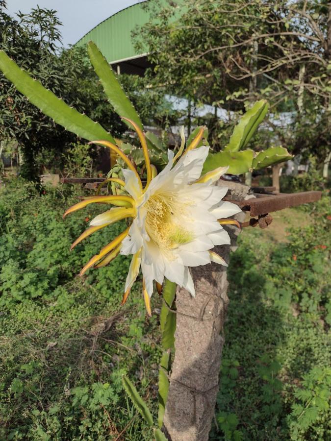 Hornbill Farm Resort Lodge Hyderabad