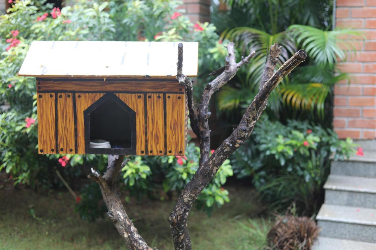 Resort Brown Town & Hyderabad