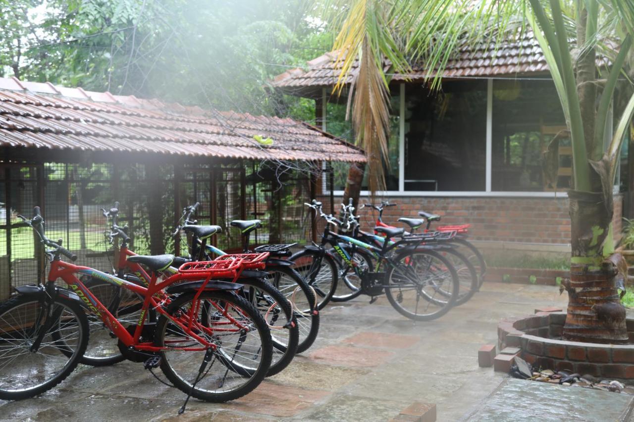 Resort Brown Town & Hyderabad
